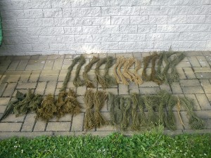 DSC00556 – kopie.JPG