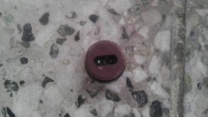IMAG0356.jpg