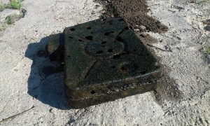 IMAG0385.jpg